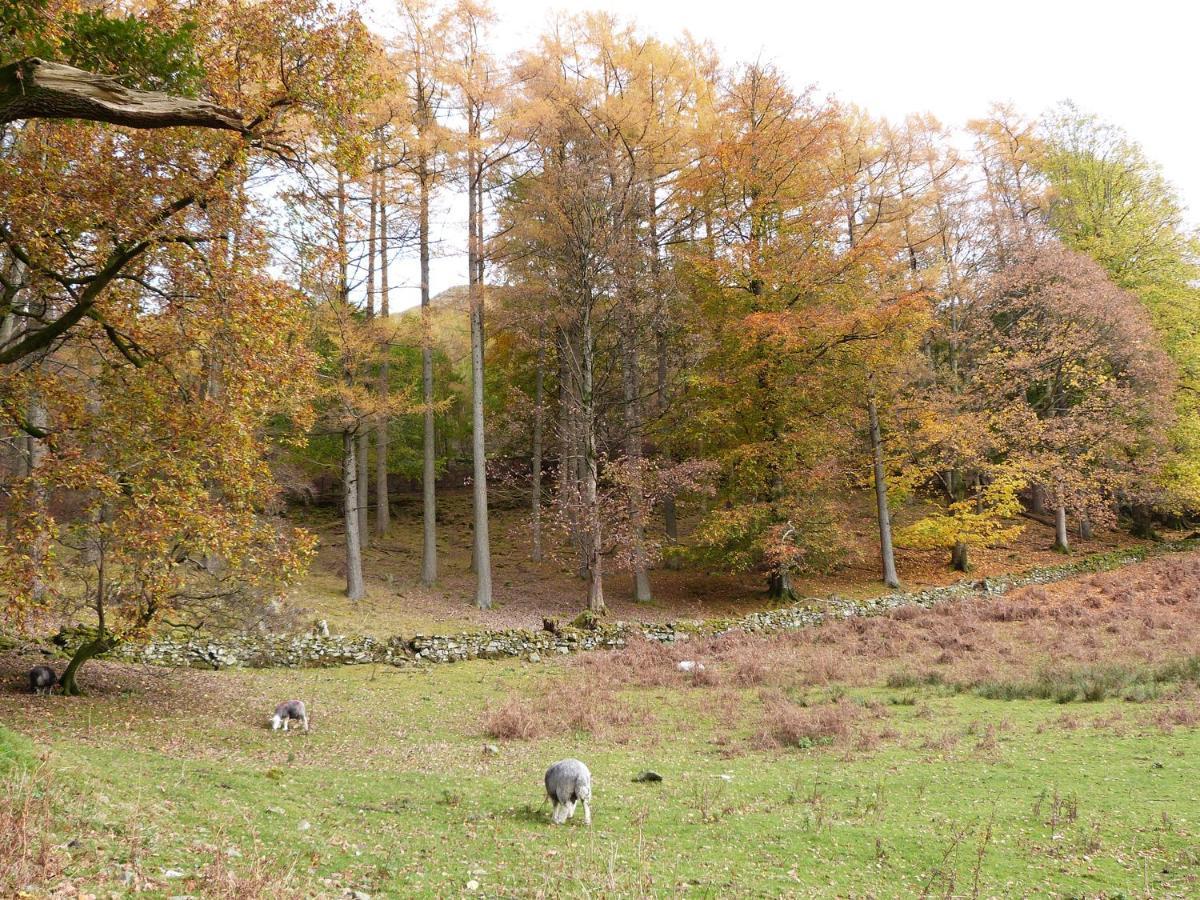 Hazel - Woodland Cottages Bowness-on-Windermere Buitenkant foto